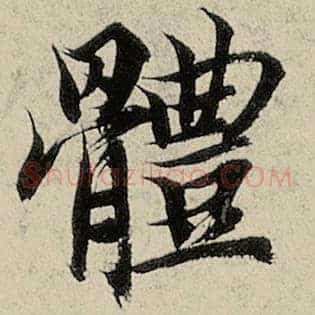 体