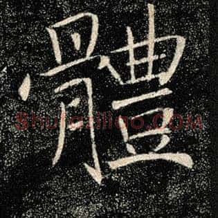体