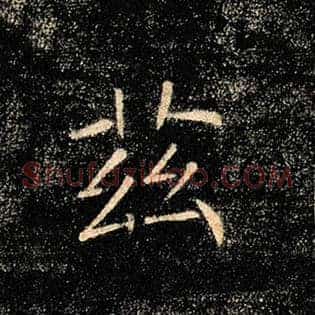 兹