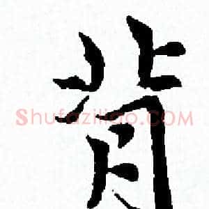 背
