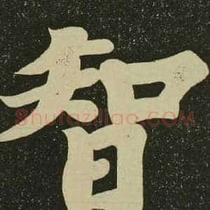 智