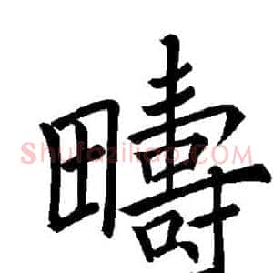 畴