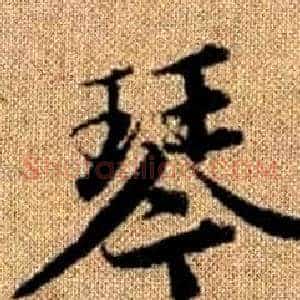 琴