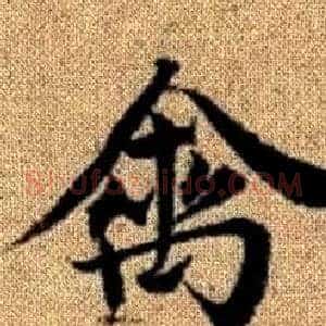 禽
