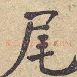 尾