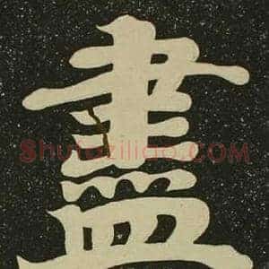 盡
