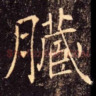 臟