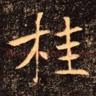 桂