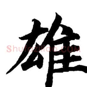 雄