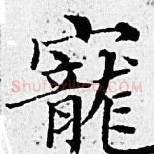 寵