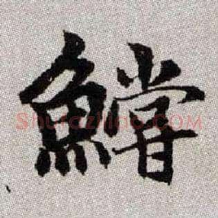 鱨