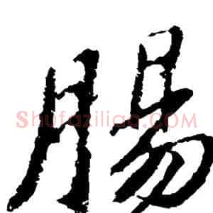 肠