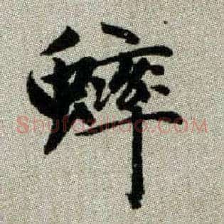 蟀