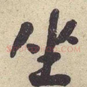 坐