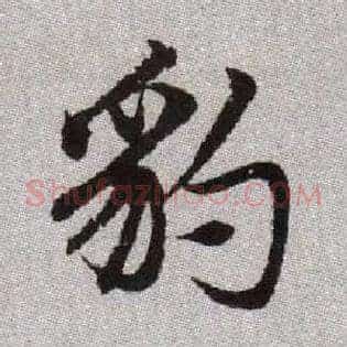 豹