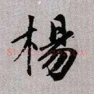 楊