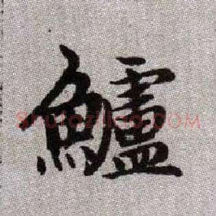 鱸