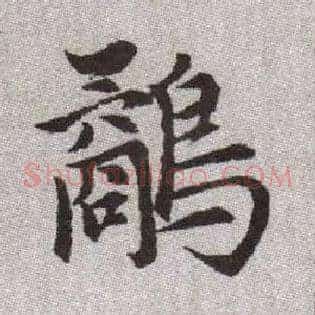 鷸