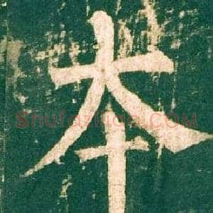 本