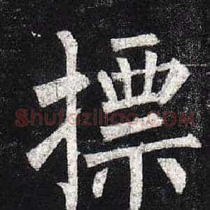 摽