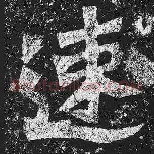 速