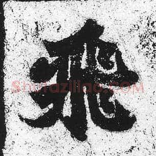 飞