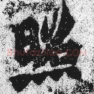 照