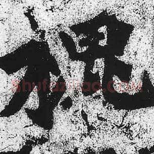 槐