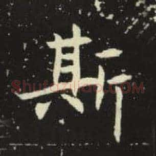 斯