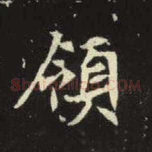 领