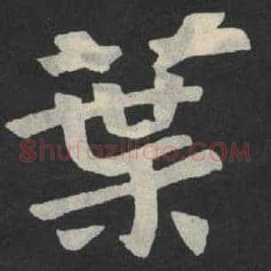 叶