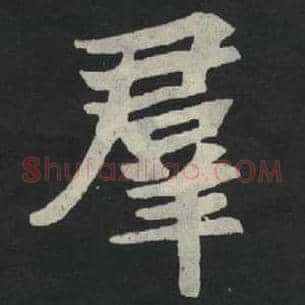群