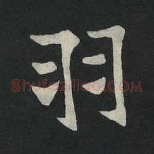 羽