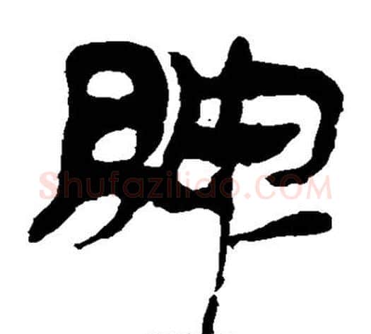 脾字轪侯利苍的儿子‌‌毛笔隶书写法,摘自轪侯利苍的儿子‌‌毛笔隶书作品