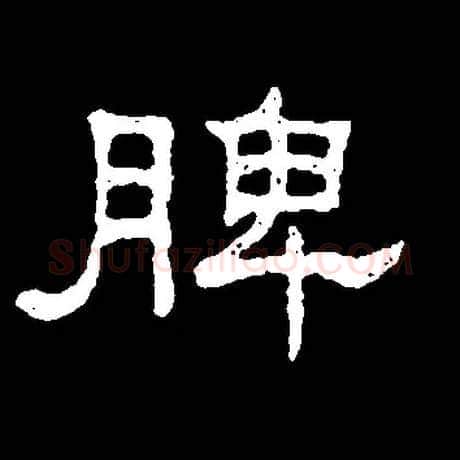 脾毛笔隶书写法,摘自常用字隶辨