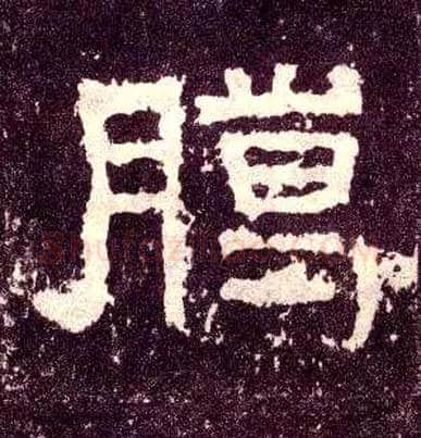 臈毛笔隶书写法,摘自汉张迁碑[là]：古同“腊”。