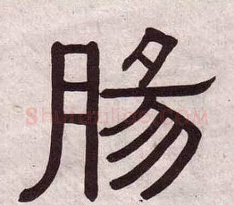 腸字黄葆戉毛笔隶书书法写法,摘自千字文