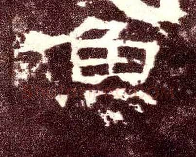 鱼毛笔隶书写法,摘自汉张迁碑