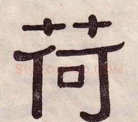 荷字黄葆戉毛笔隶书书法写法,摘自千字文
