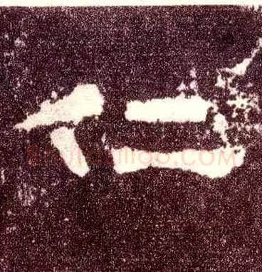 仁毛笔隶书写法,摘自汉张迁碑