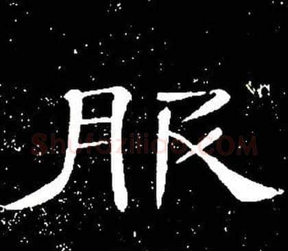 服字席夔毛笔隶书书法写法,摘自千字文