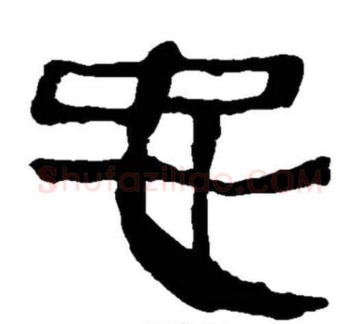 忠字轪侯利苍的儿子‌‌毛笔隶书写法,摘自轪侯利苍的儿子‌‌毛笔隶书作品