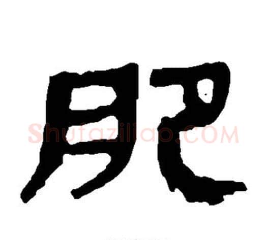肥字轪侯利苍的儿子‌‌毛笔隶书写法,摘自轪侯利苍的儿子‌‌毛笔隶书作品