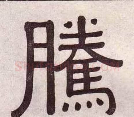 騰字黄葆戉毛笔隶书书法写法,摘自千字文