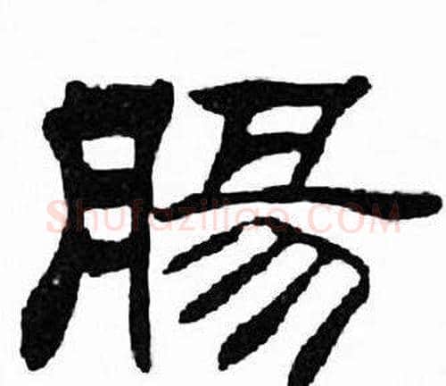 腸字刘炳森毛笔隶书书法写法,摘自千字文