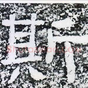斯