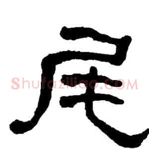 尾