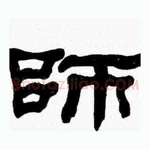 師