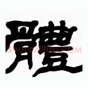 體