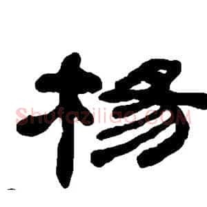 杨